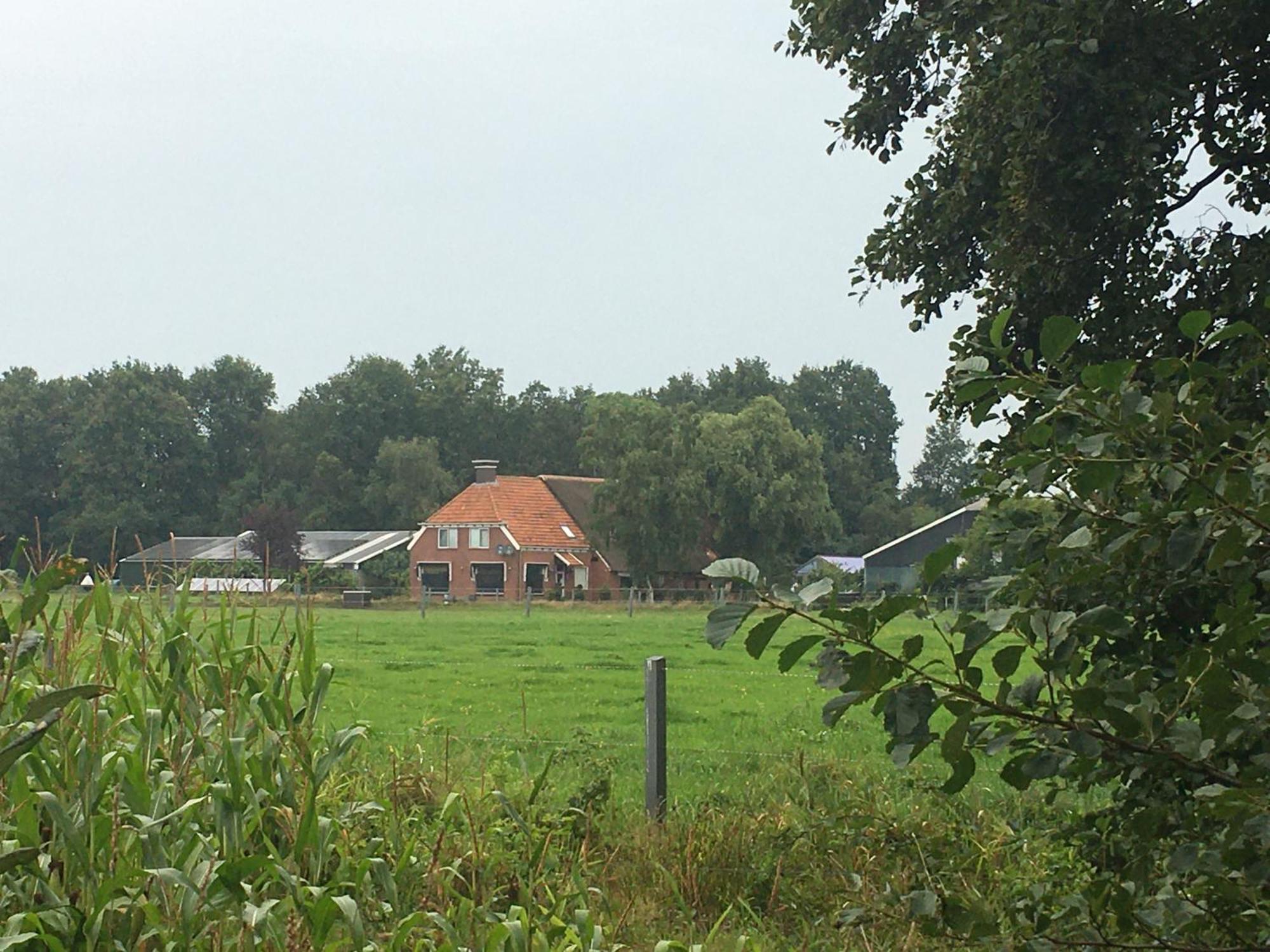 The Black Horse B&B & More Drachten Ngoại thất bức ảnh