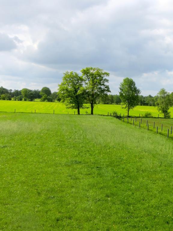 The Black Horse B&B & More Drachten Phòng bức ảnh