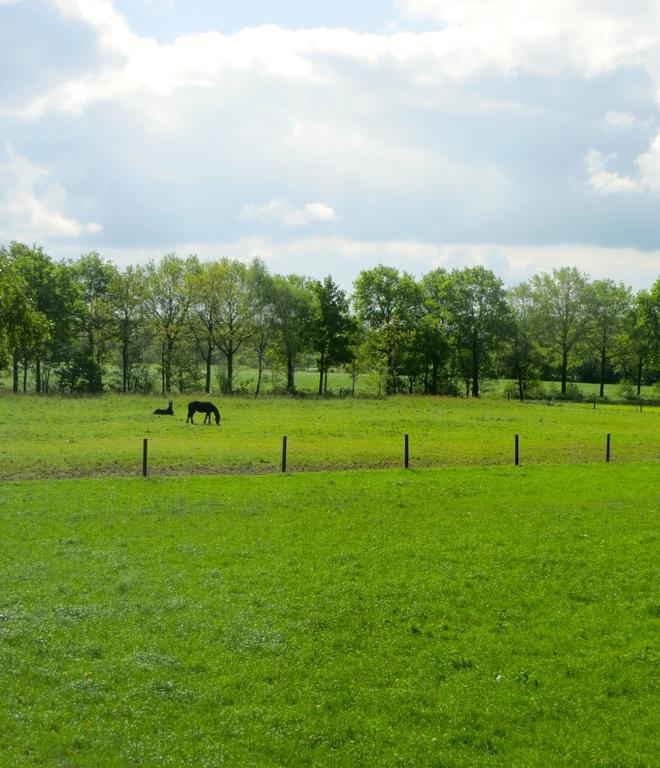 The Black Horse B&B & More Drachten Phòng bức ảnh